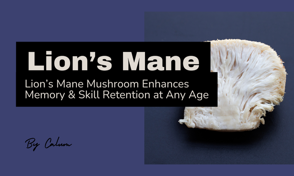 Lions Mane mushroom supplement for memory enhancement and cognitive function