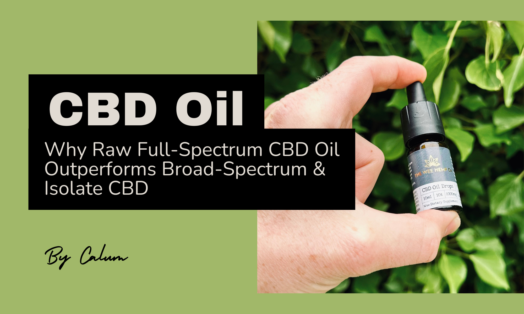 Full spectrum broad spectrum CBD isolate comparison entourage effect