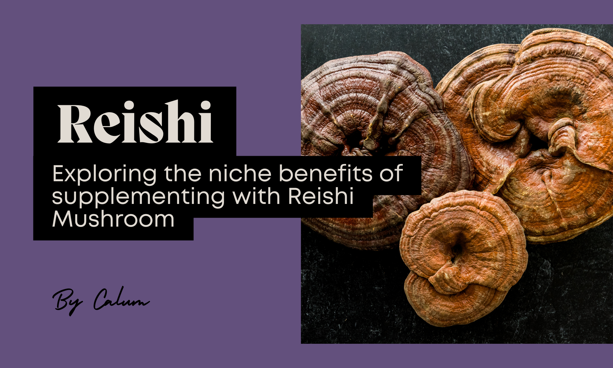 The Niche Benefits of Supplementing with Reishi Mushroom