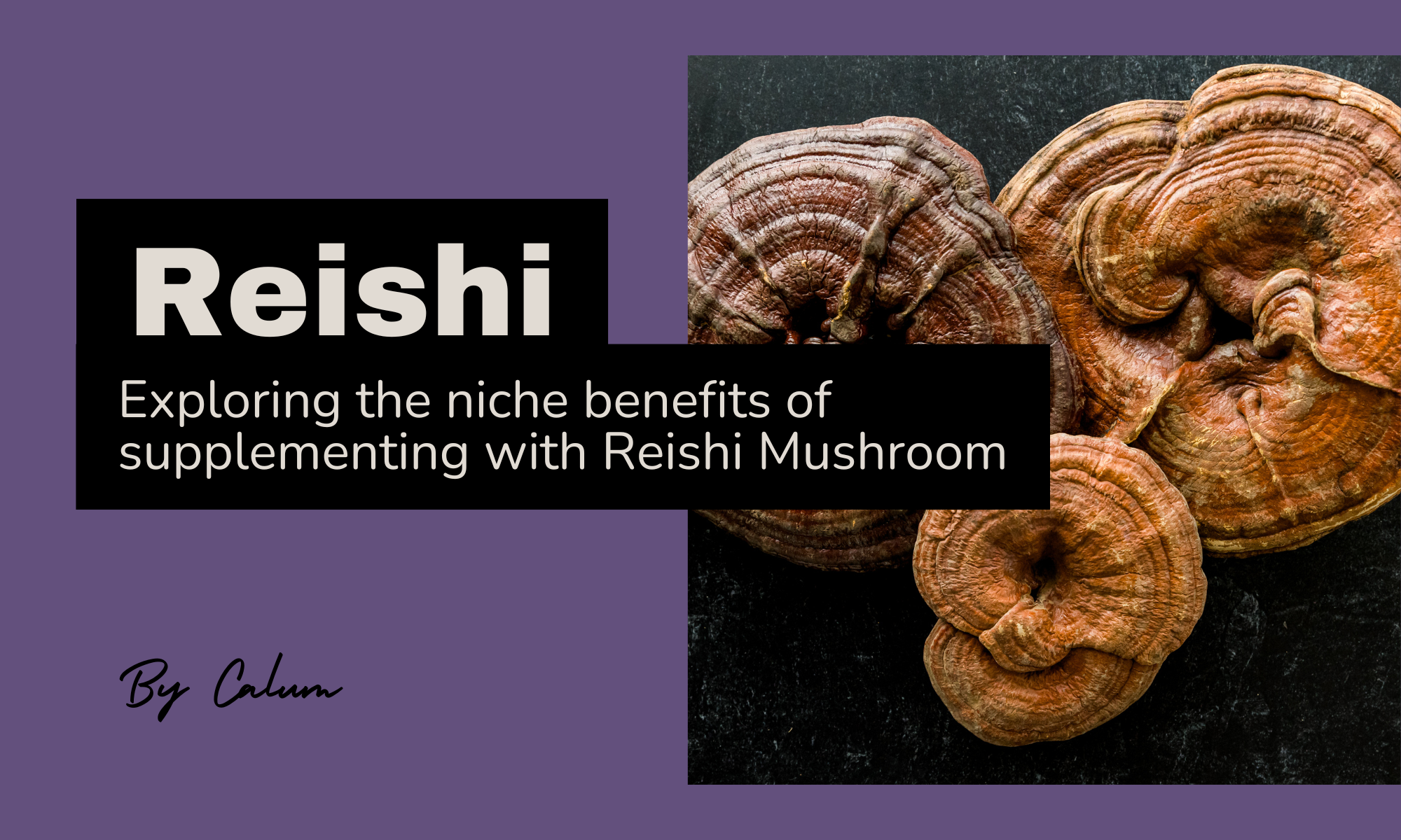 Reishi mushroom supplement benefits for immune support rest and calm