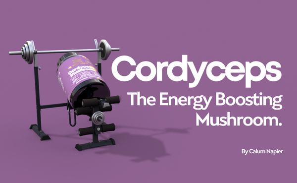 Cordyceps mushroom energy stamina athletic performance natural supplement