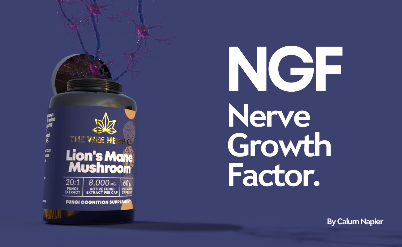 Nerve Growth Factor [NGF]
