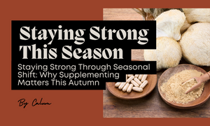 Staying Strong Through Seasonal Shift: Why Supplementing Matters This Autumn
