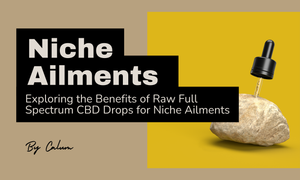 Raw full spectrum CBD oil drops for niche ailments and rare medical conditions