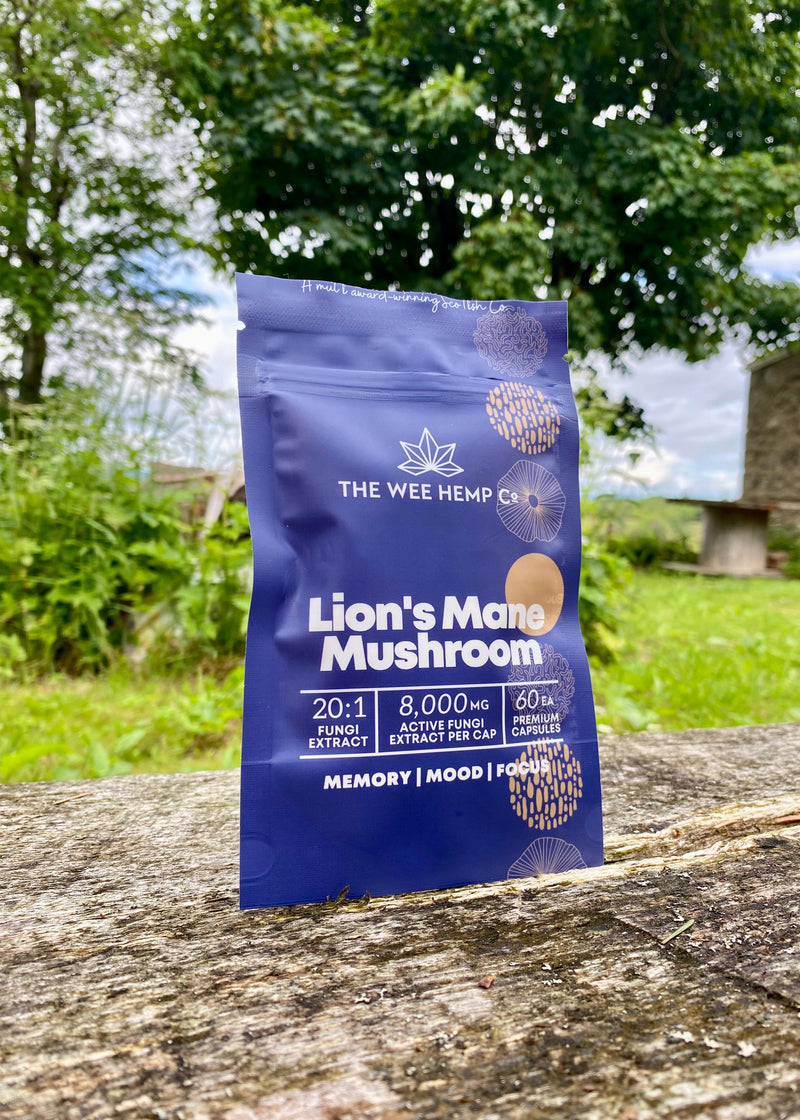 Lion's Mane Mushroom Clean Extract, No Bulking Agents. The Wee Hemp Company, Aberdeenshire, Scotland. Blue background with mushroom supplements in foreground. Scotland's Leading CBD Company.