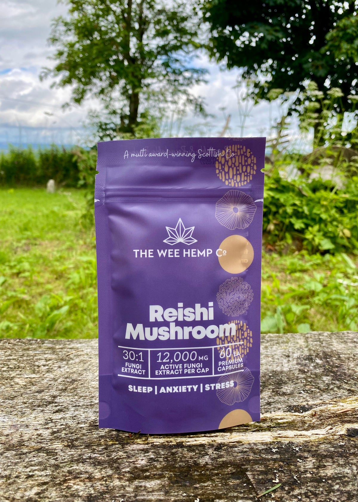 Purple package of Reishi Mushroom product from The Wee Hemp Co on a wooden surface with a natural background. Reishi Mushroom Clean Extract, No Bulking Agents. The Wee Hemp Company, Aberdeenshire, Scotland. Blue background with mushroom supplements in foreground. Scotland's Leading CBD Company.