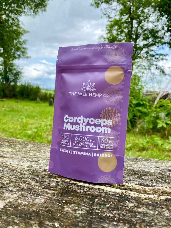 Cordyceps Mushroom Clean Extract, No Bulking Agents. The Wee Hemp Company, Aberdeenshire, Scotland. Blue background with mushroom supplements in foreground. Scotland's Leading CBD Company.