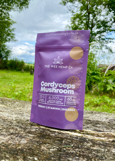 Purple package of Cordyceps Mushroom by The Wee Hemp Co. on a wooden surface with a natural background. Cordyceps Mushroom Clean Extract, No Bulking Agents. The Wee Hemp Company, Aberdeenshire, Scotland. Blue background with mushroom supplements in foreground. Scotland's Leading CBD Company.