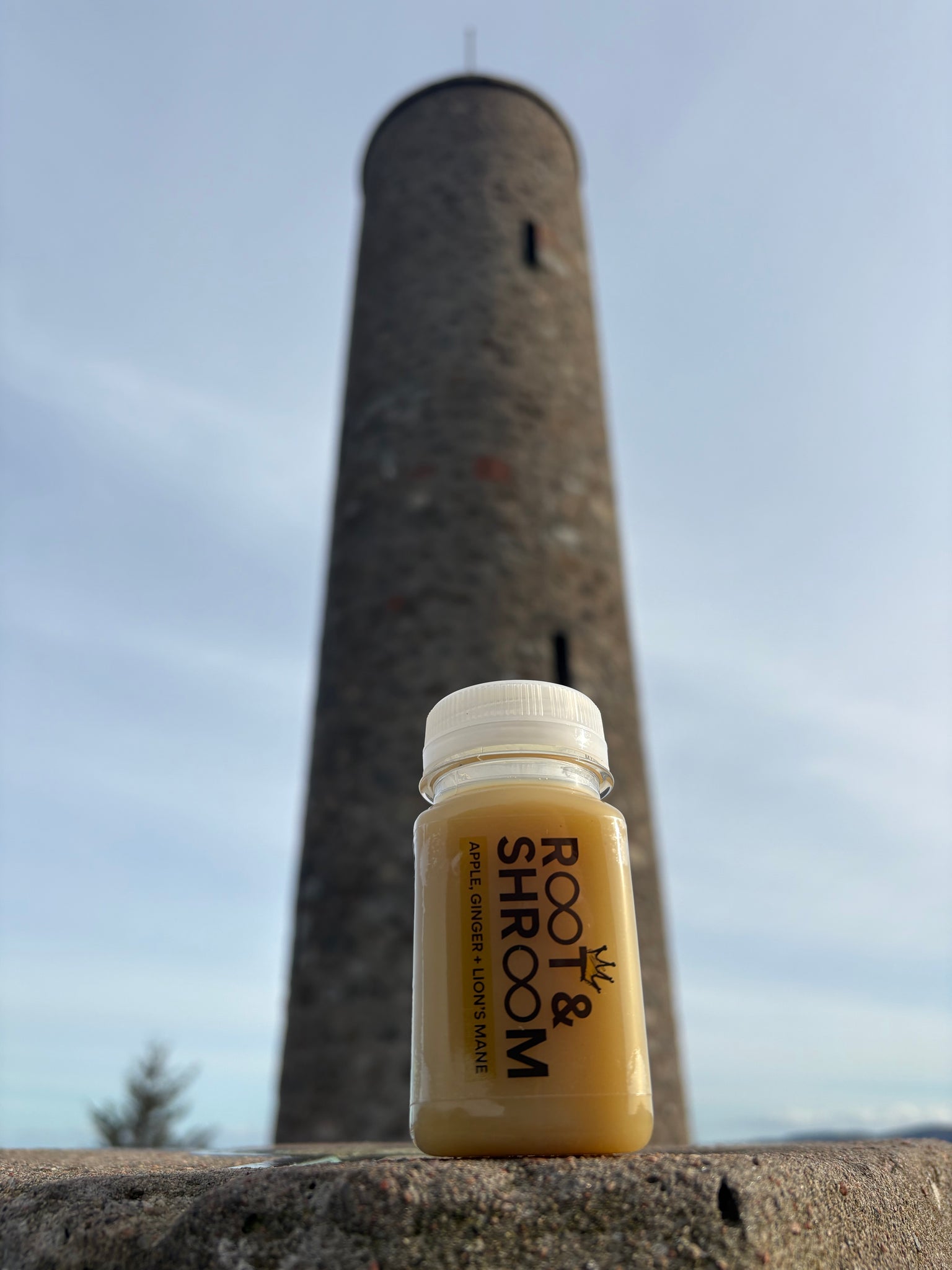 Small bottle labeled 'Shroom' by Root & Bloom on a reflective surface with a blurred background.