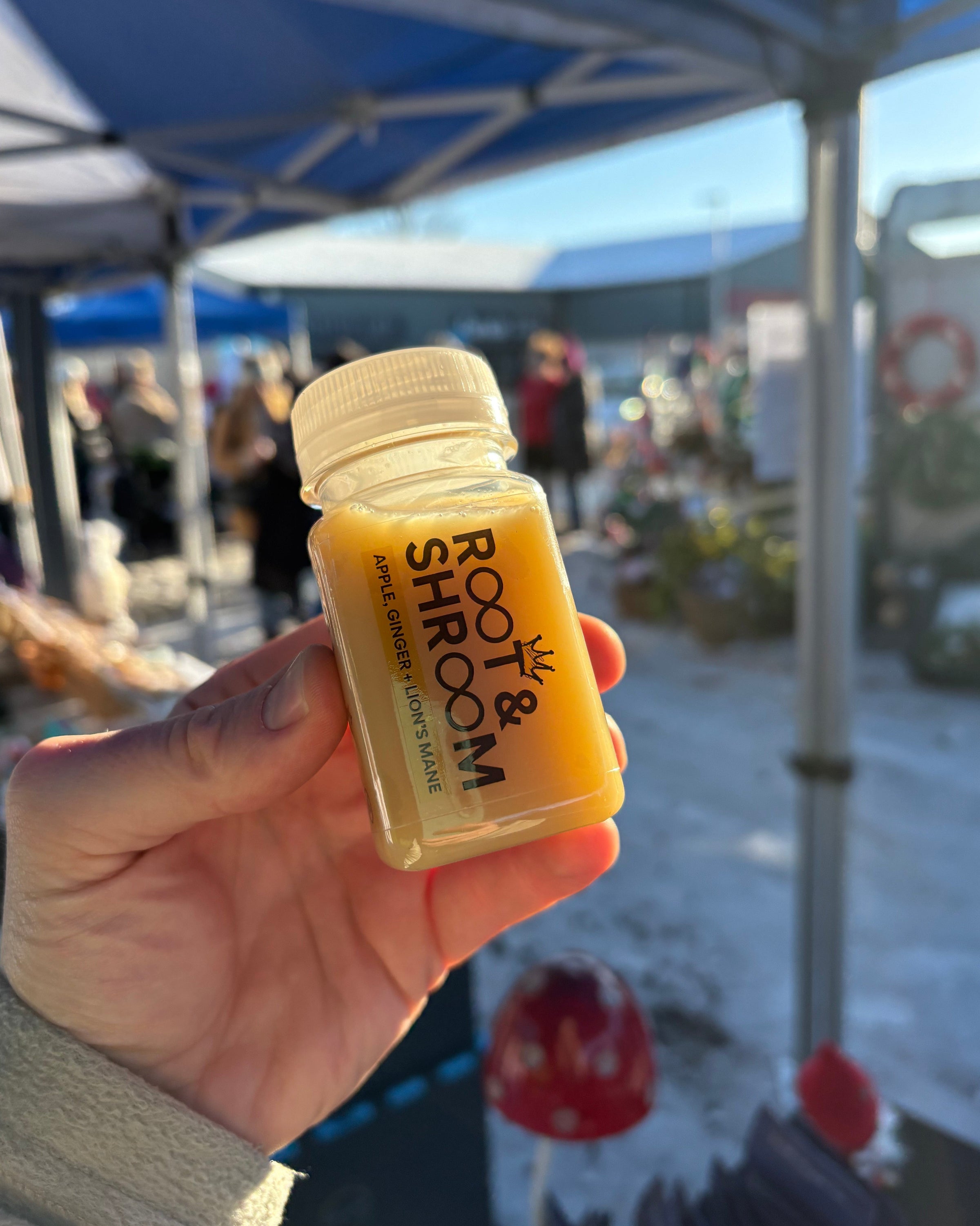 Hand holding a Root & Shroom product with a blurred background