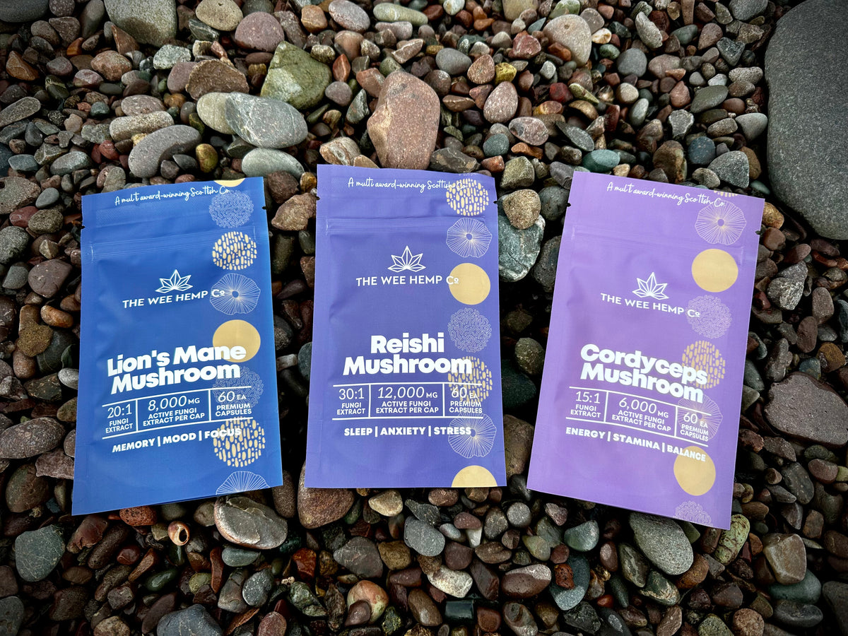 Fantastic Fungi Pouches - Focus • Energy • Rest