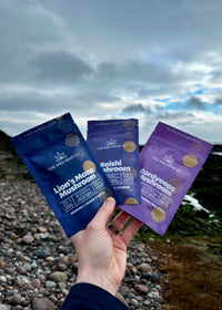 Fantastic Fungi Pouches - Focus • Energy • Rest
