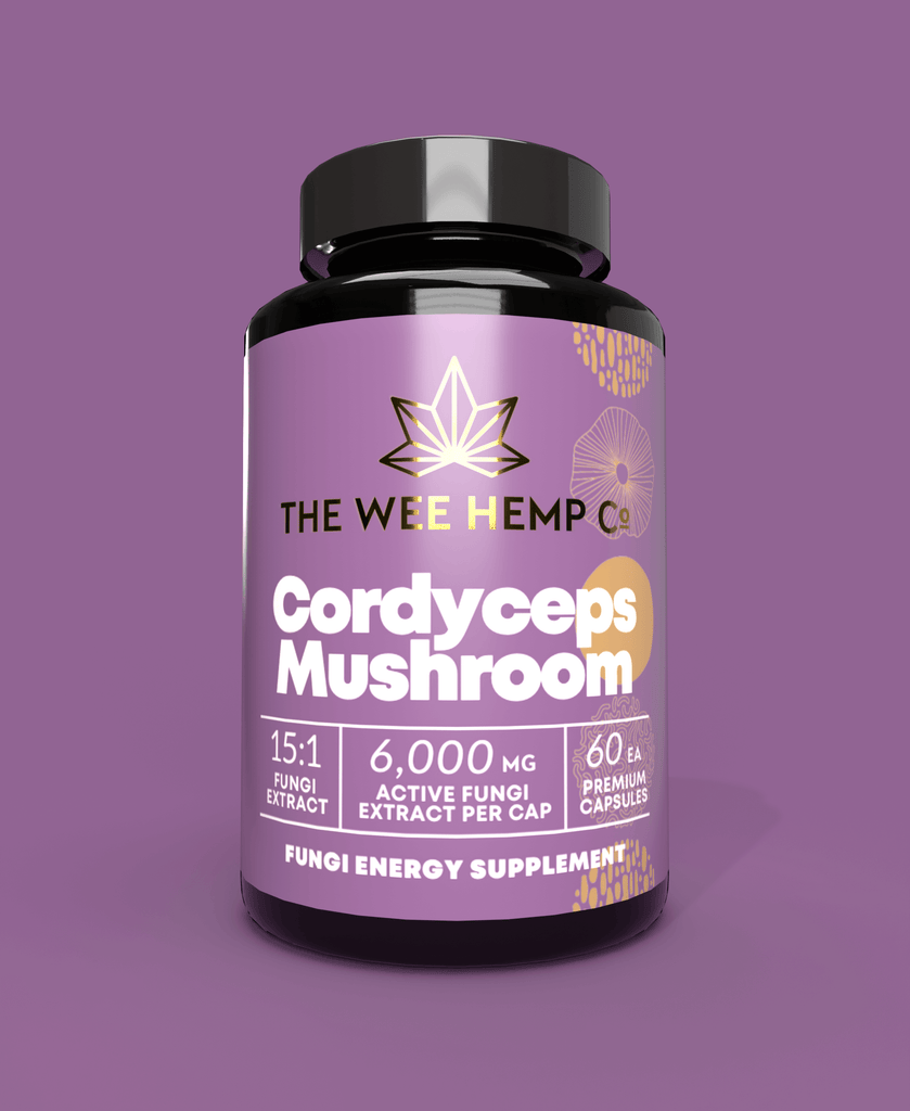 Cordyceps Mushroom Clean Extract, No Bulking Agents. The Wee Hemp Company, Aberdeenshire, Scotland. Blue background with mushroom supplements in foreground. Scotland's Leading CBD Company.
